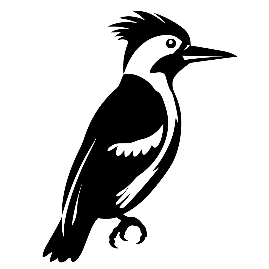 Adult Woodpecker SVG File for Cricut, Silhouette, Laser Machines