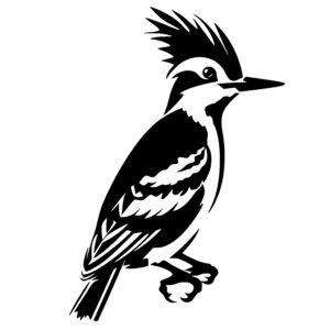 Spikey Haired Woodpecker