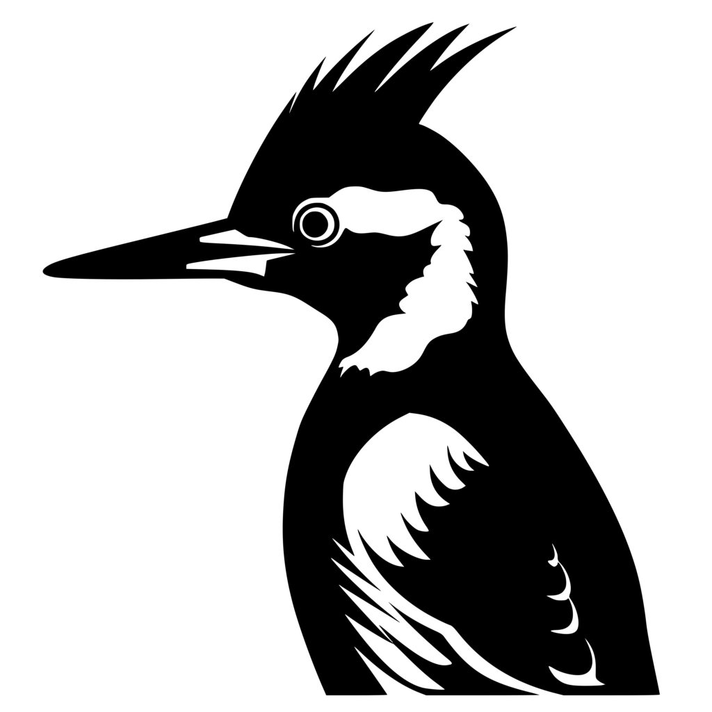 Woodpecker Portrait SVG File for Cricut, Silhouette, Laser Machines