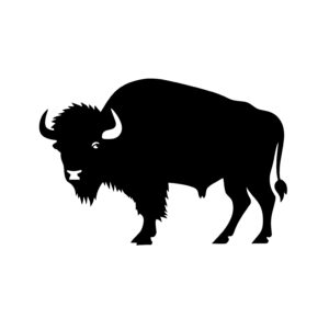 Buffalo in the Wild