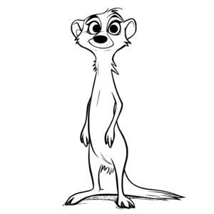 Adorable Meerkat