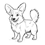 Fluffy-tailed Corgi