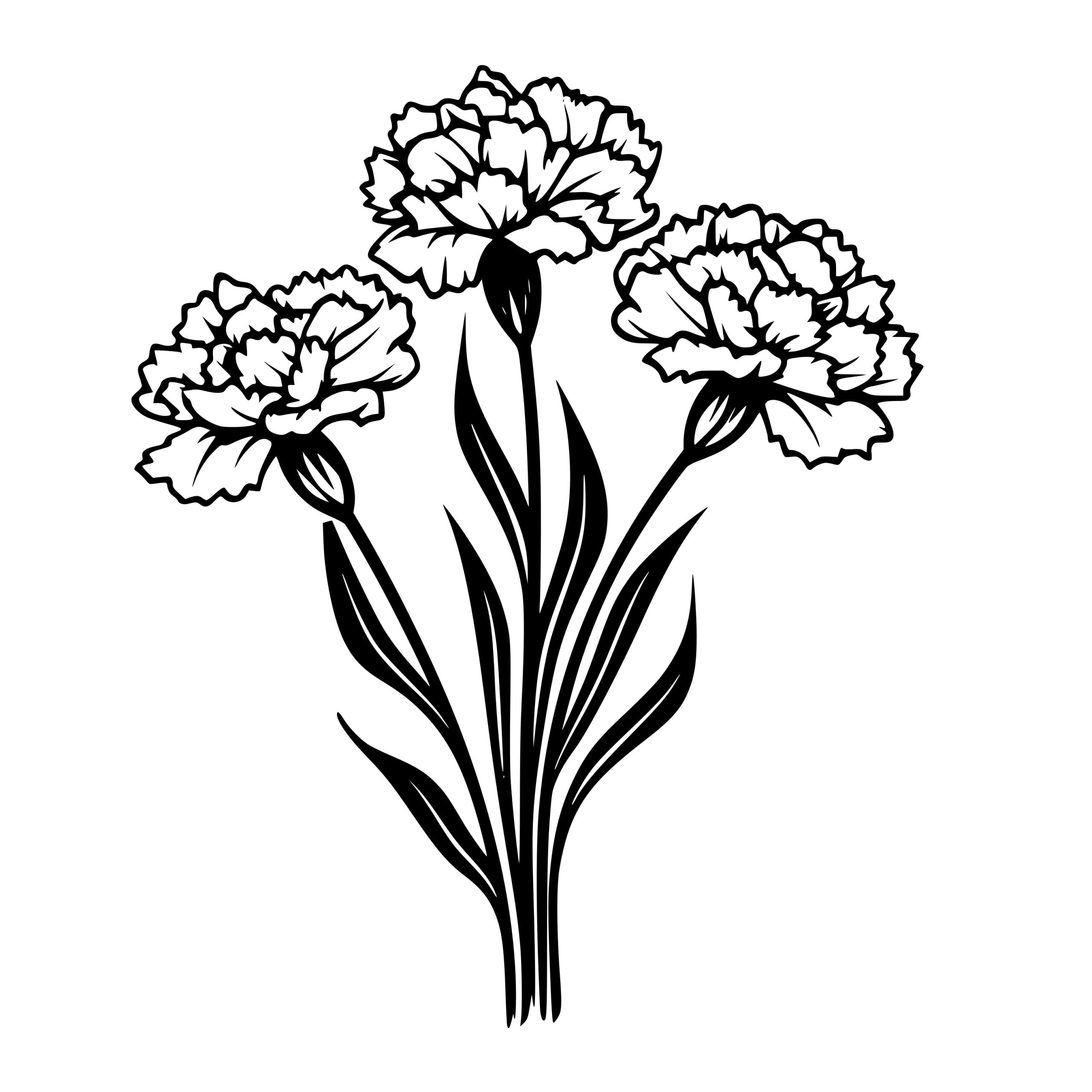 Carnation Flower Svg,carnations Svg,carnation Hand Drawn,carnation Files  for Silhouette,bouquet Carnations Svg,carnations Svg,carnation Png 