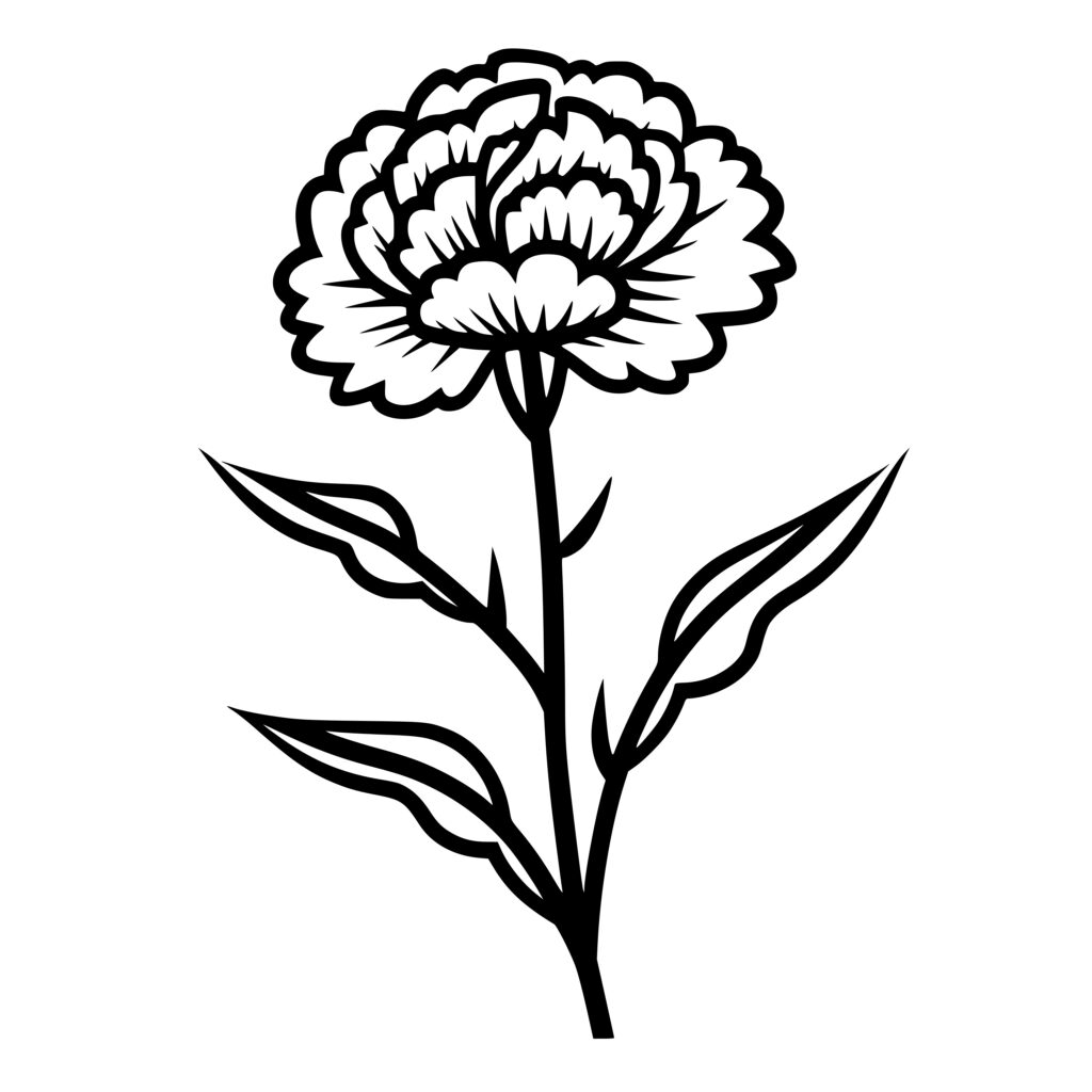 Carnation Flower SVG File for Cricut, Silhouette, Laser Machines