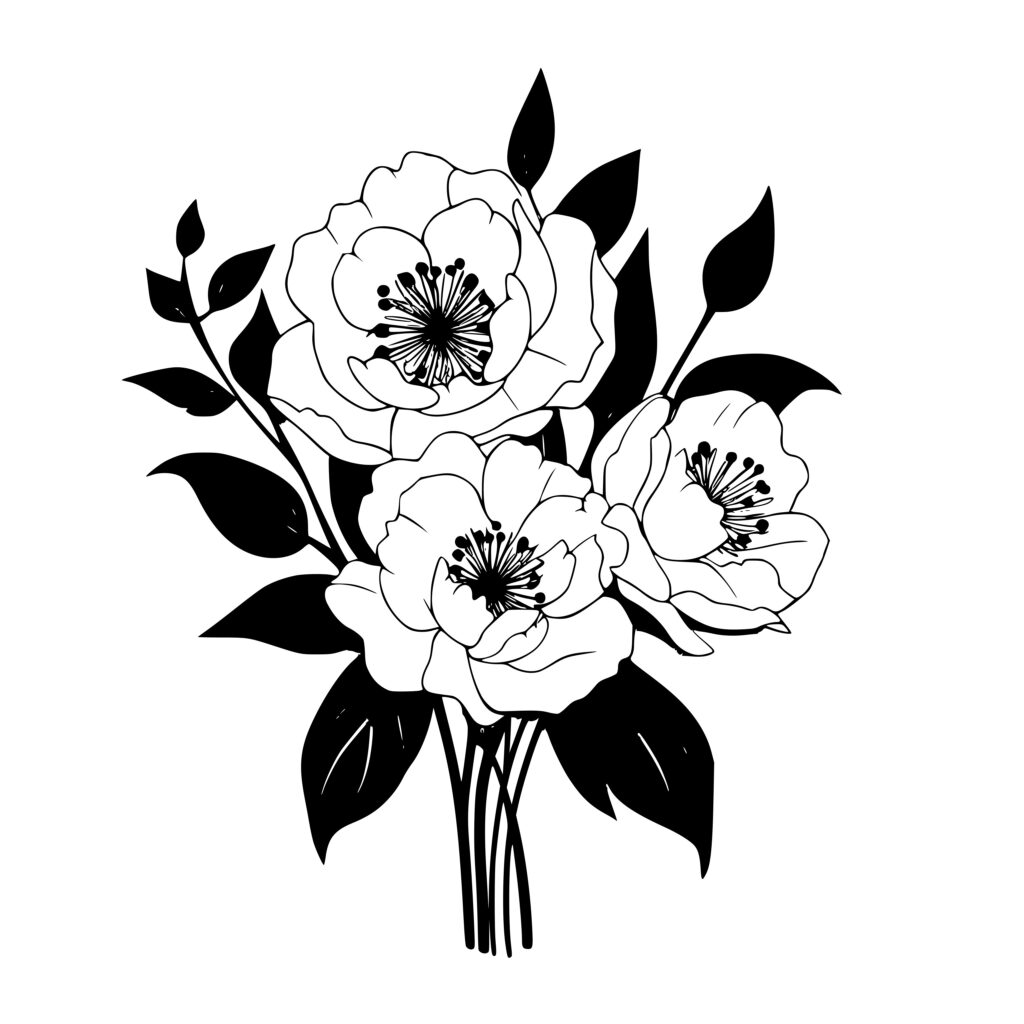 Instant Download SVG, PNG, DXF Files: Camellia Flowers for Cricut