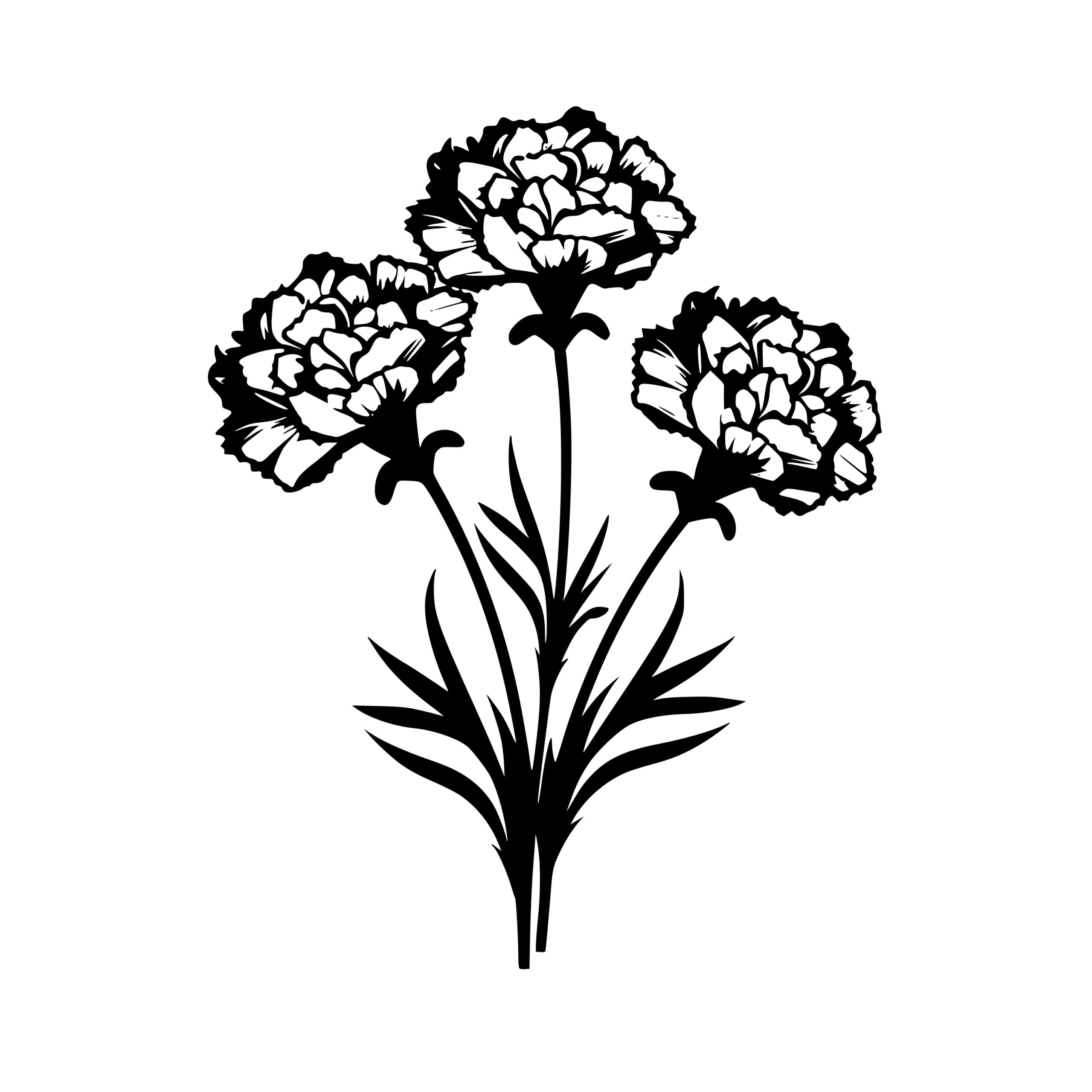 Carnation Flowers SVG, PNG, DXF Instant Download for Cricut, Silhouette,  Laser Machines