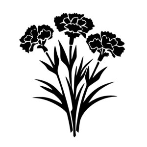 Simple Carnations