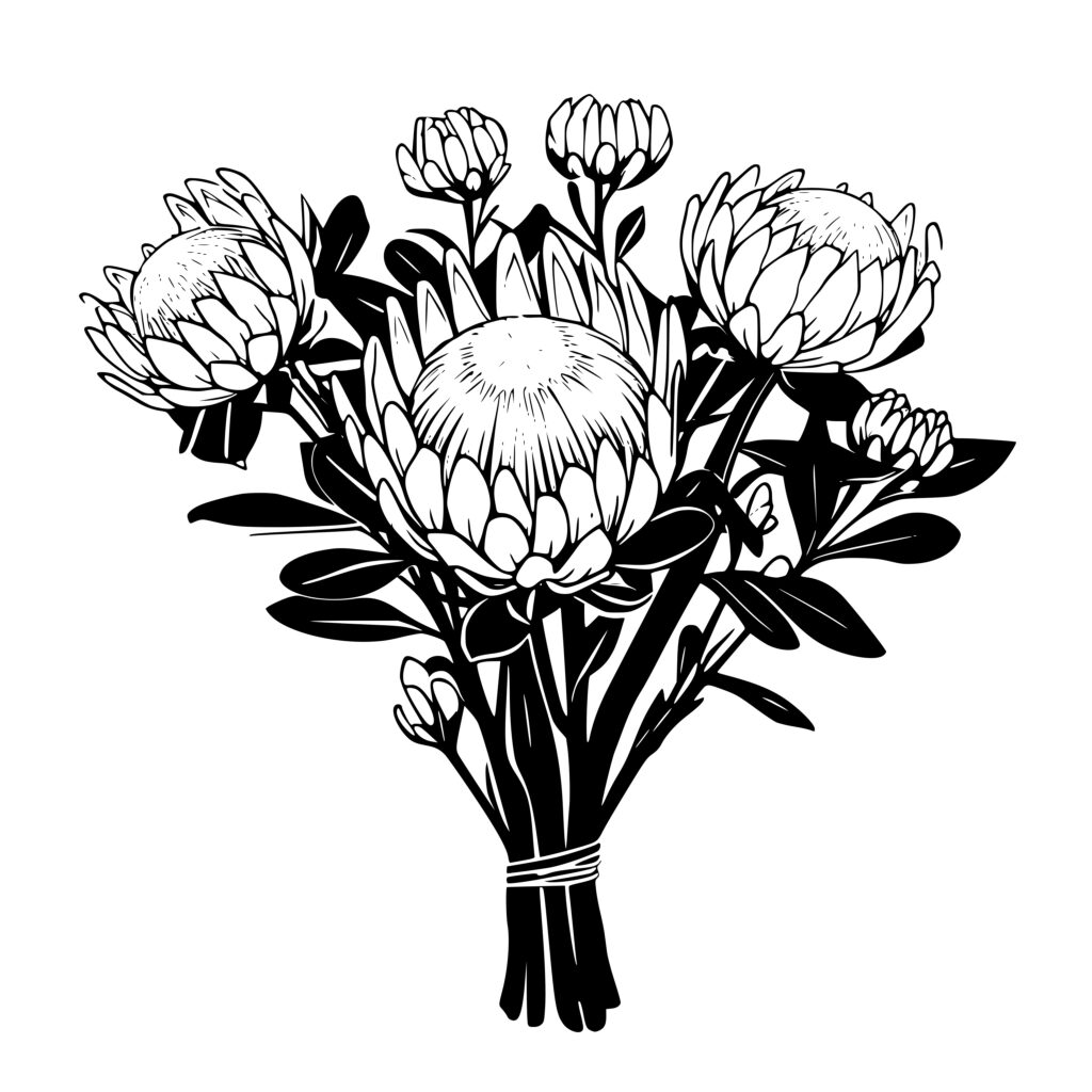 Protea Bouquet SVG, PNG, DXF Files for Cricut, Silhouette, Laser Machines