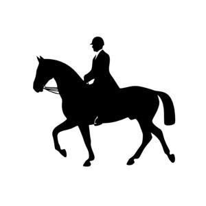 Horse and Rider in Competition