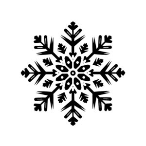 Beautiful Winter Snowflake