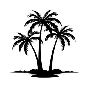 Beachfront Palm Trees