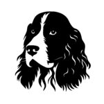 Springer Spaniel Portrait