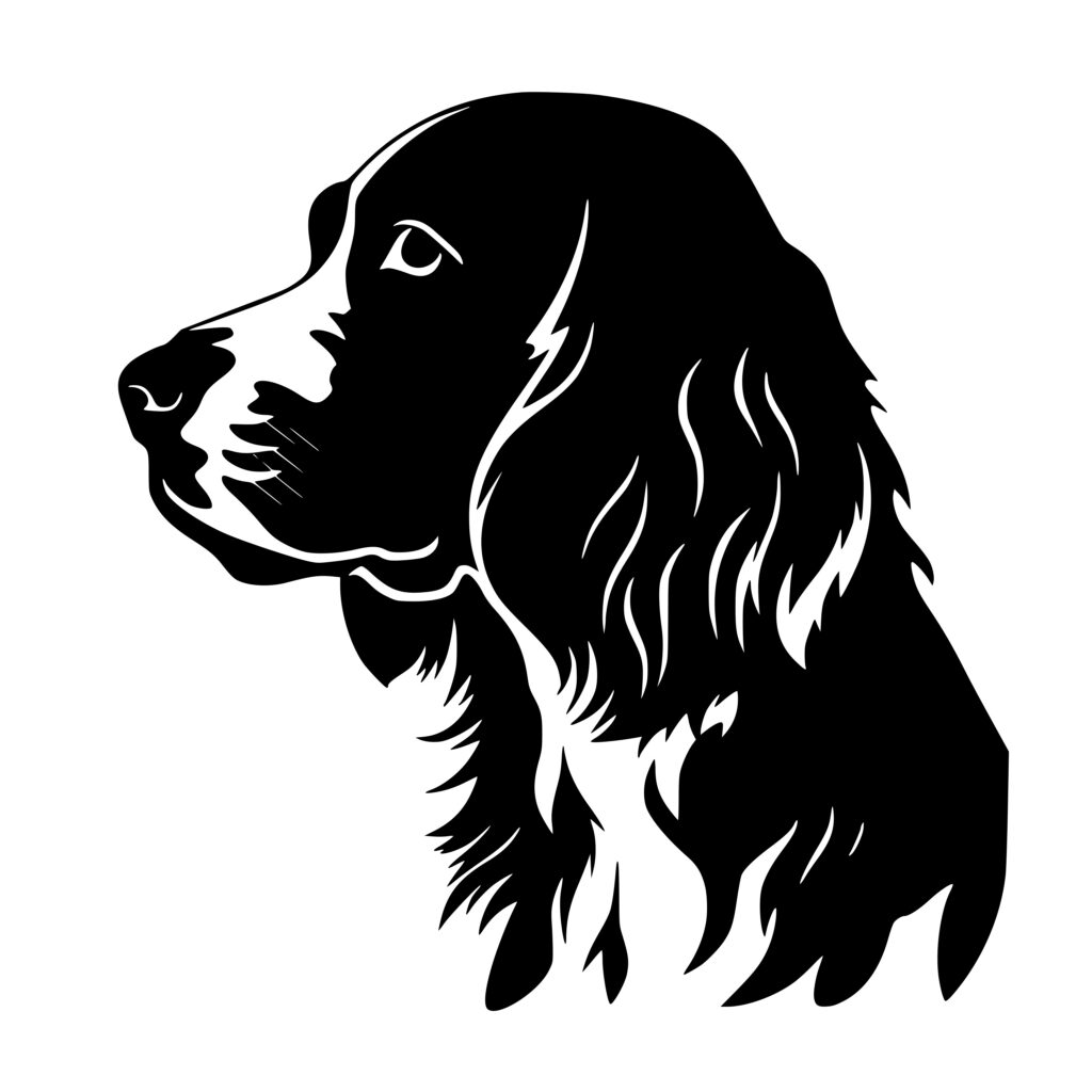 Springer Spaniel Dog Image SVG/PNG/DXF for Cricut, Silhouette, Laser ...