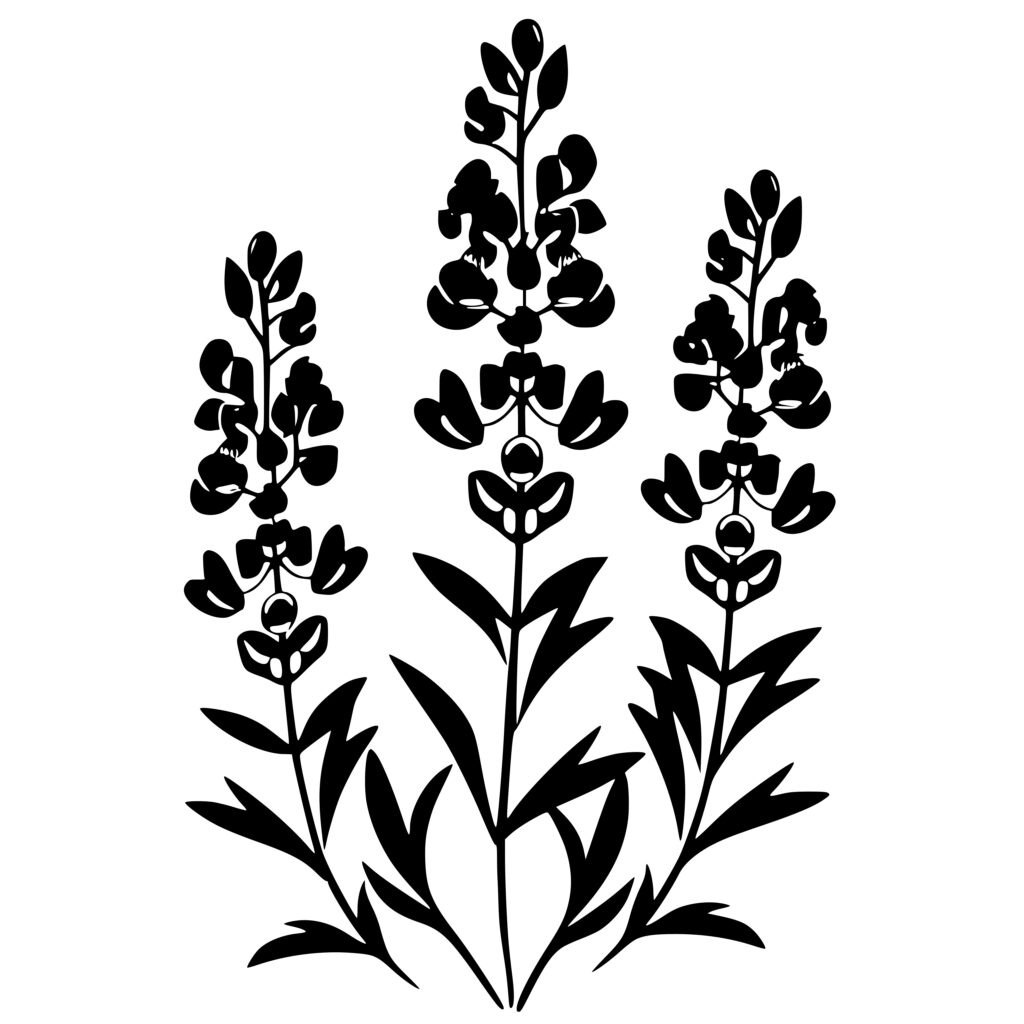 Lupine and Bluebonnet SVG Image for Cricut, Silhouette, Laser Machines