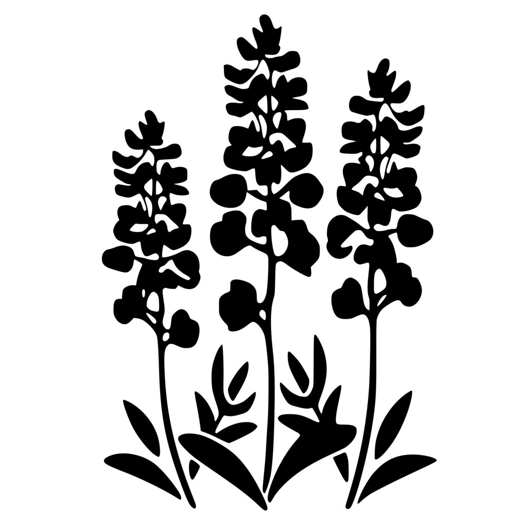 Bluebonnet and Lupine Trio SVG Image File for Cricut, Silhouette, Laser