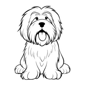 Smiling Bearded Collie