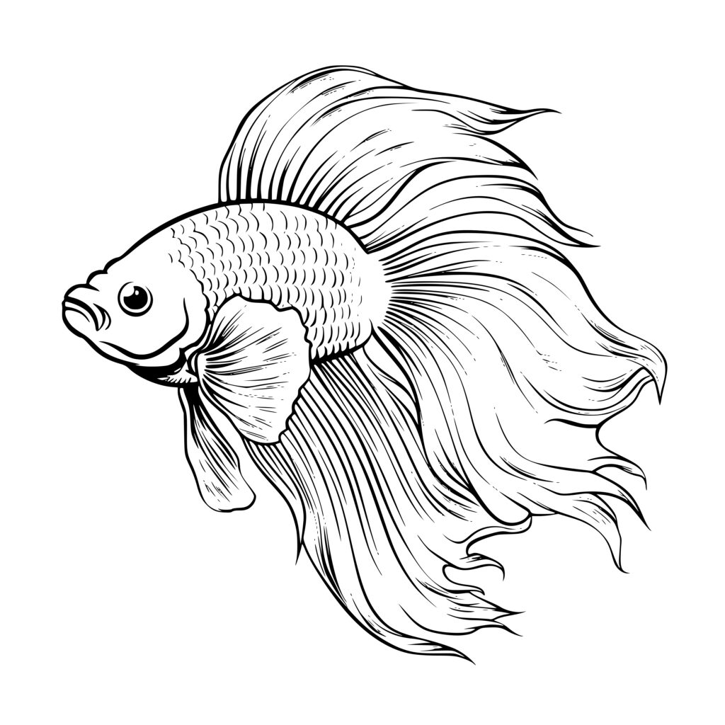 Betta Fish Svg Free 329 Dxf Include - vrogue.co