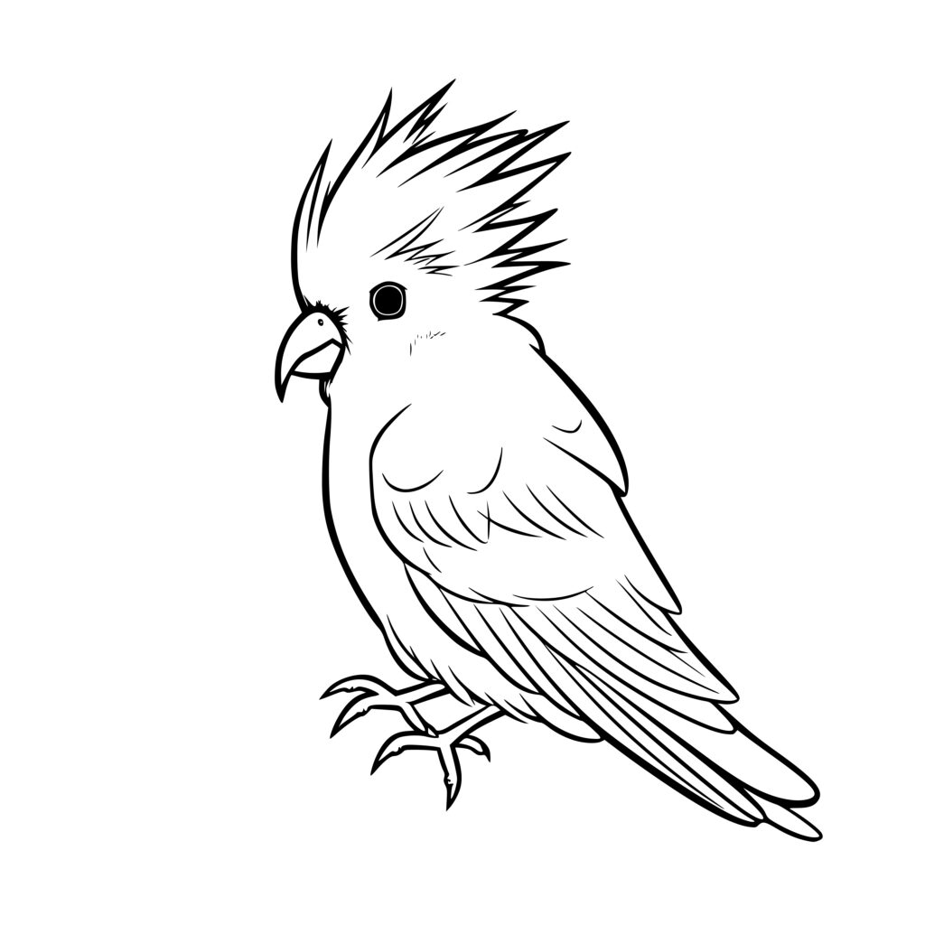 Instant Download SVG File: Friendly Cockatiel for Cricut and Silhouette