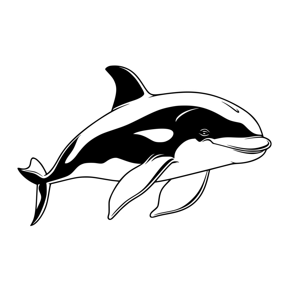 Gentle Whale Instant Download Image for Cricut, Silhouette, and Laser ...