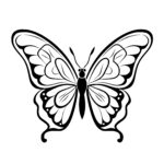 Delicate Butterfly