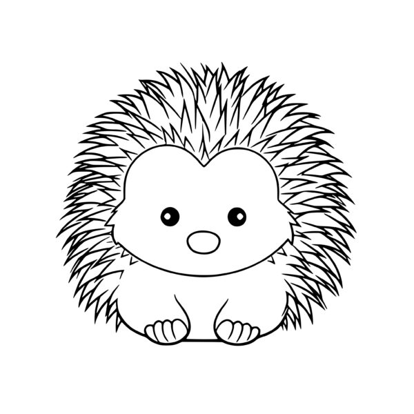 Curled Up Echidna SVG Image for Cricut and Silhouette: Instant Download