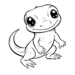 Adorable Salamander