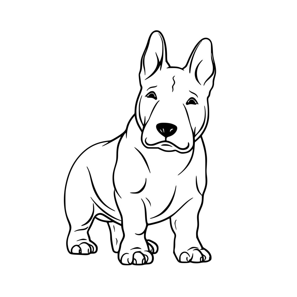 White Bull Terrier SVG File Instant Download for Cricut, Silhouette ...