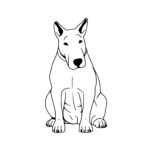 Sitting Bull Terrier