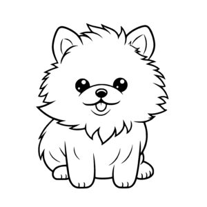 Pomeranian Pooch