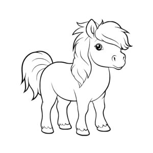 Shetland Pony Cutie