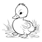 Adorable Duckling