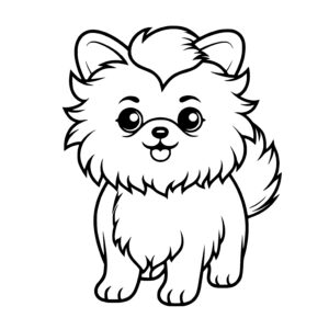 Pomeranian Pup