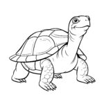 Cheerful Turtle