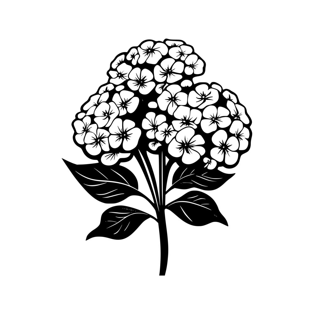 Hydrangea Beauty: SVG Image for Cricut, Silhouette, Laser Machines
