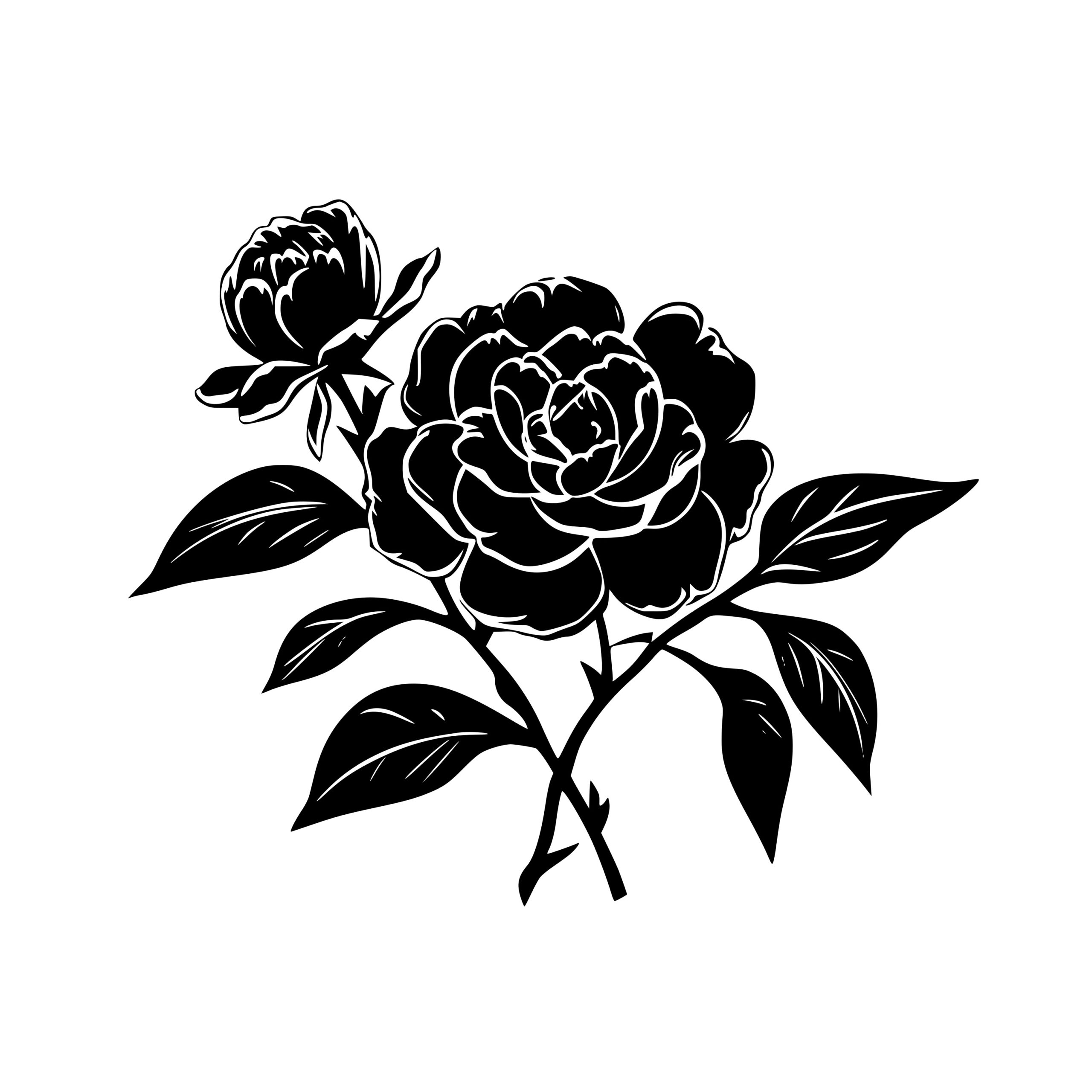 Instant Download Blooming Camellia Image for Cricut, Silhouette, Laser ...