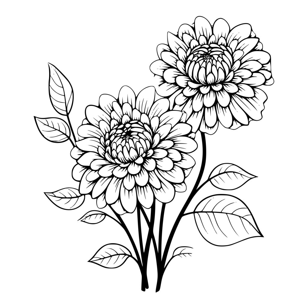 Flowering Dahlias: Svg, Png, Dxf Instant Download For Cricut, Silhouette