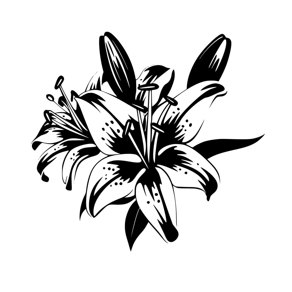 Spring Lily SVG Image for Cricut, Silhouette, Laser Machines