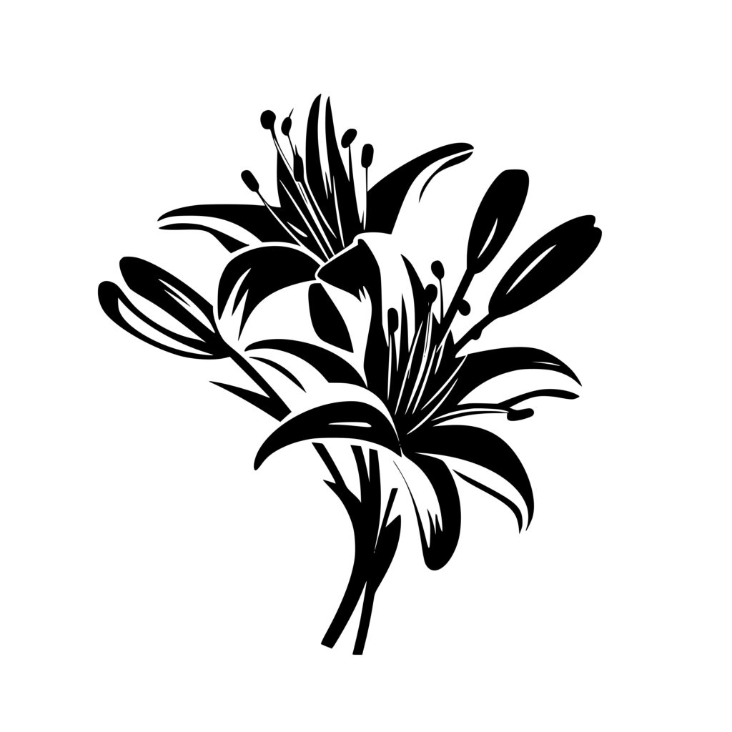 Lily Blossom: Instant Download SVG/PNG/DXF for Cricut, Silhouette ...