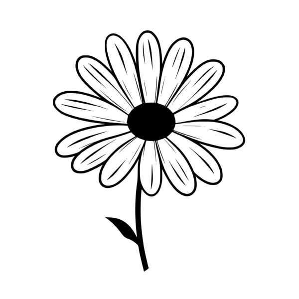 Spring Daisy SVG File for Cricut, Silhouette, xTool, Glowforge