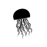 Tentacled Jellyfish