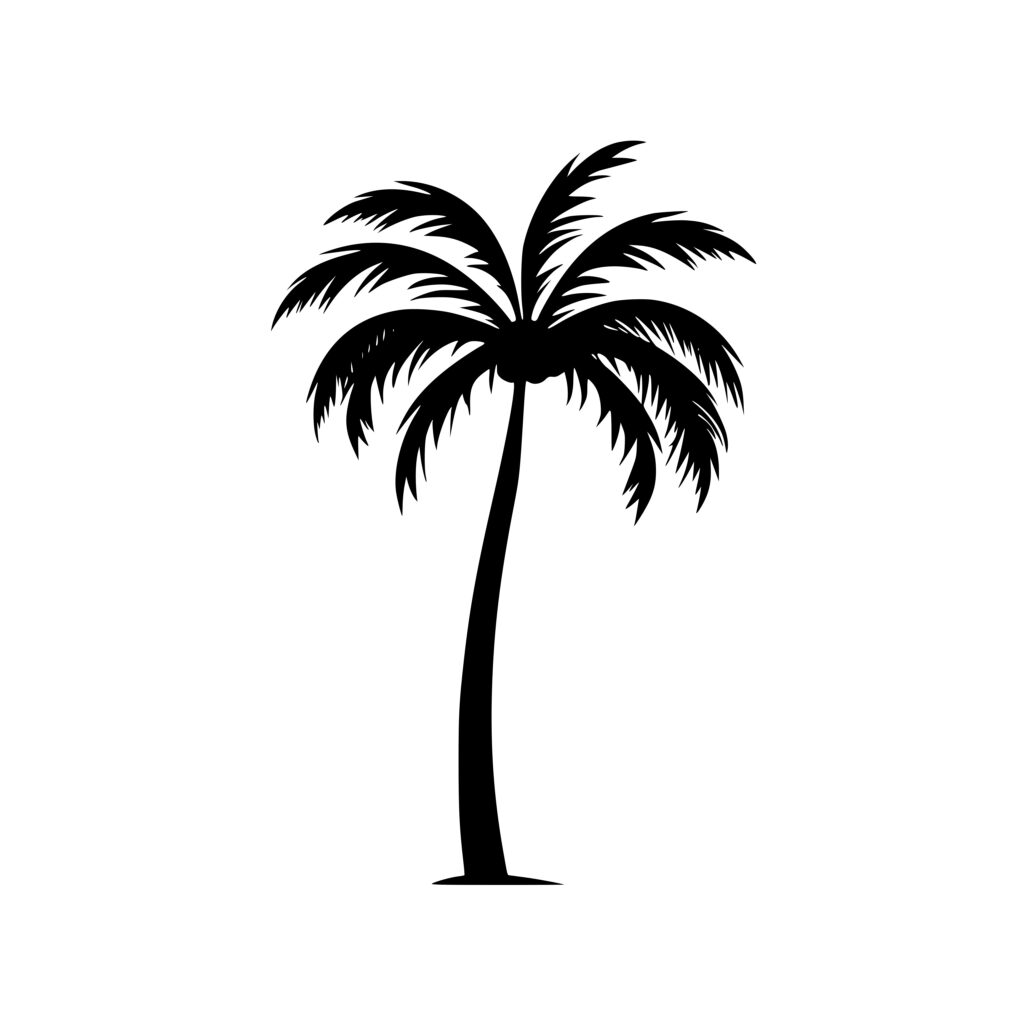 Exotic Palm Tree SVG Image for Cricut, Silhouette, Laser Machines
