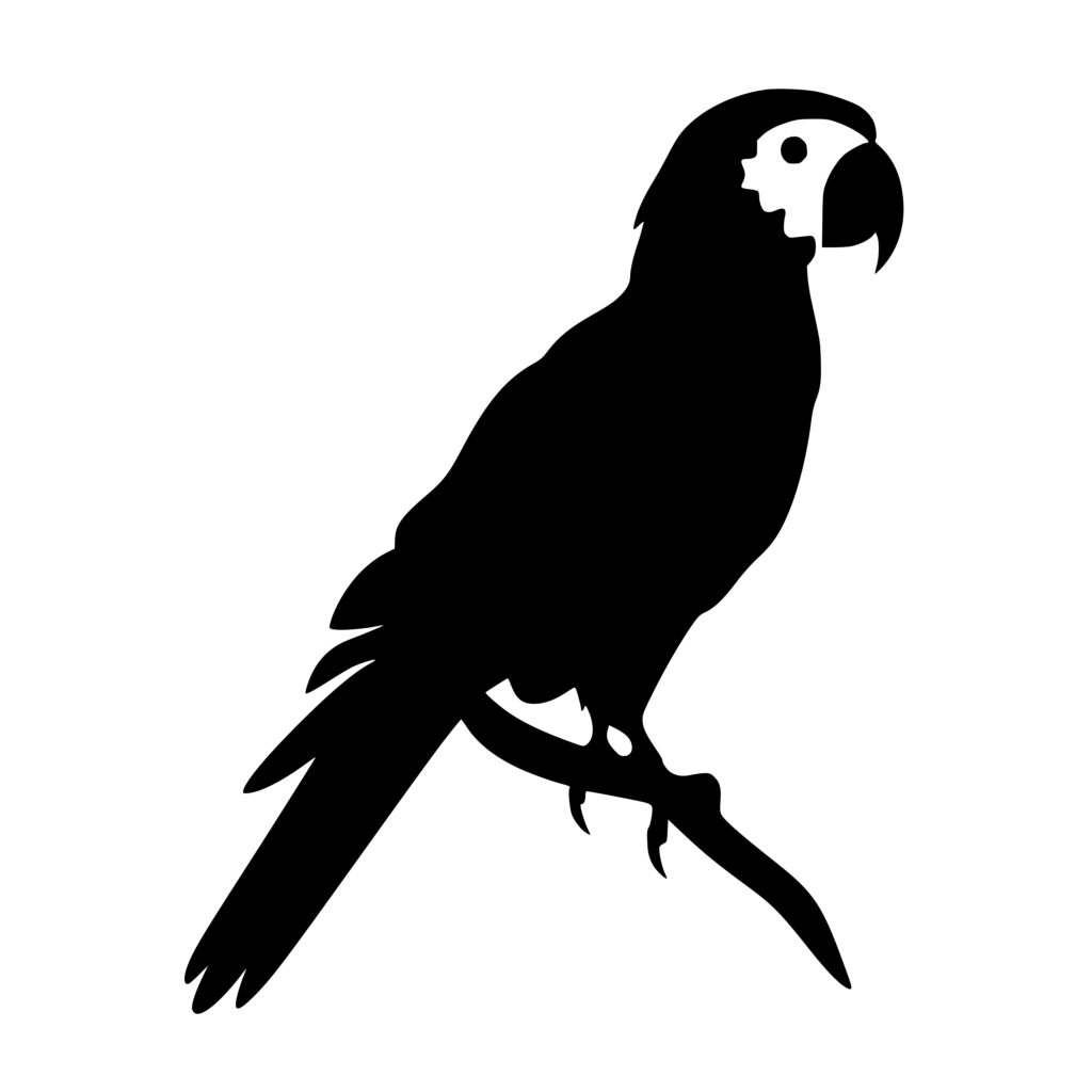 Tropical Parrot SVG Image for Cricut, Silhouette & Laser Machines