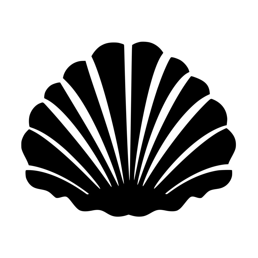 Seashell SVG Image for Cricut, Silhouette, and Laser Machines