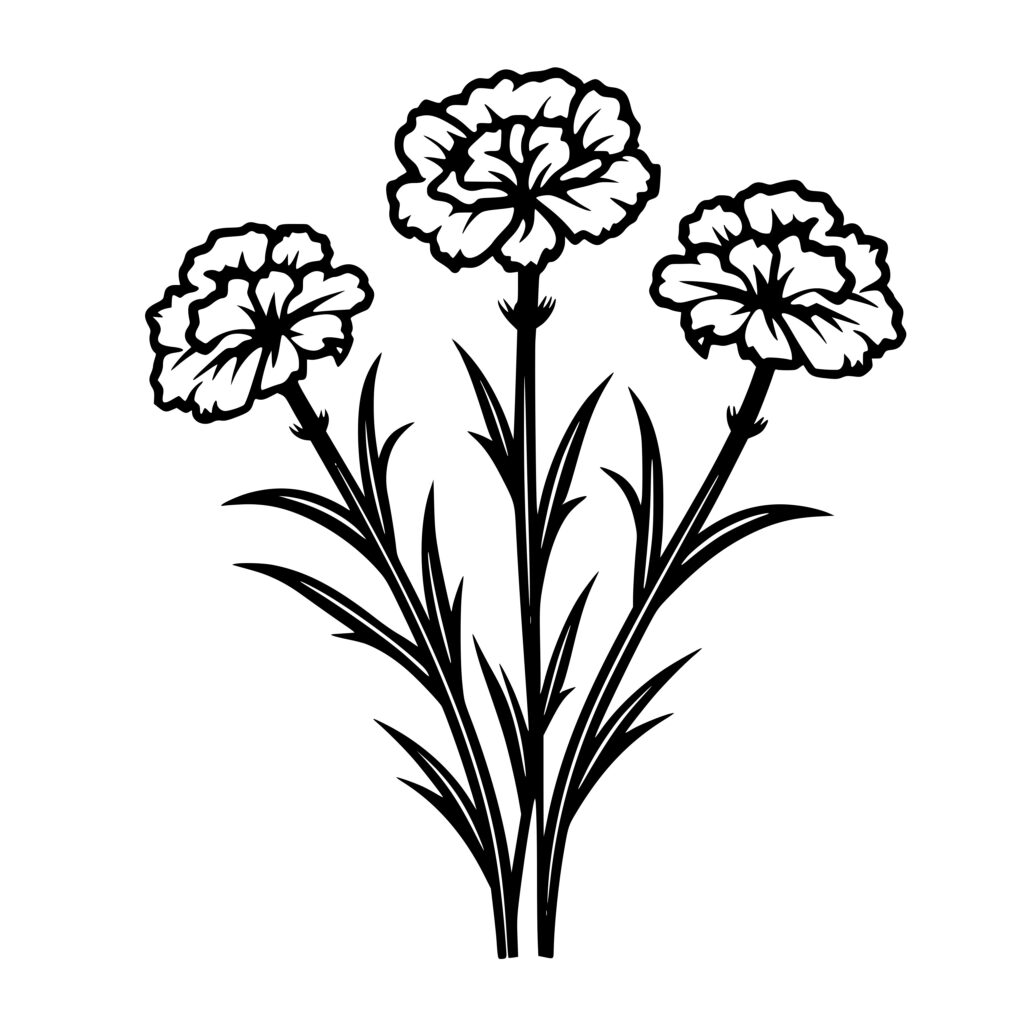 Spring Carnations SVG, PNG, DXF Files for Cricut, Silhouette, Laser Machines