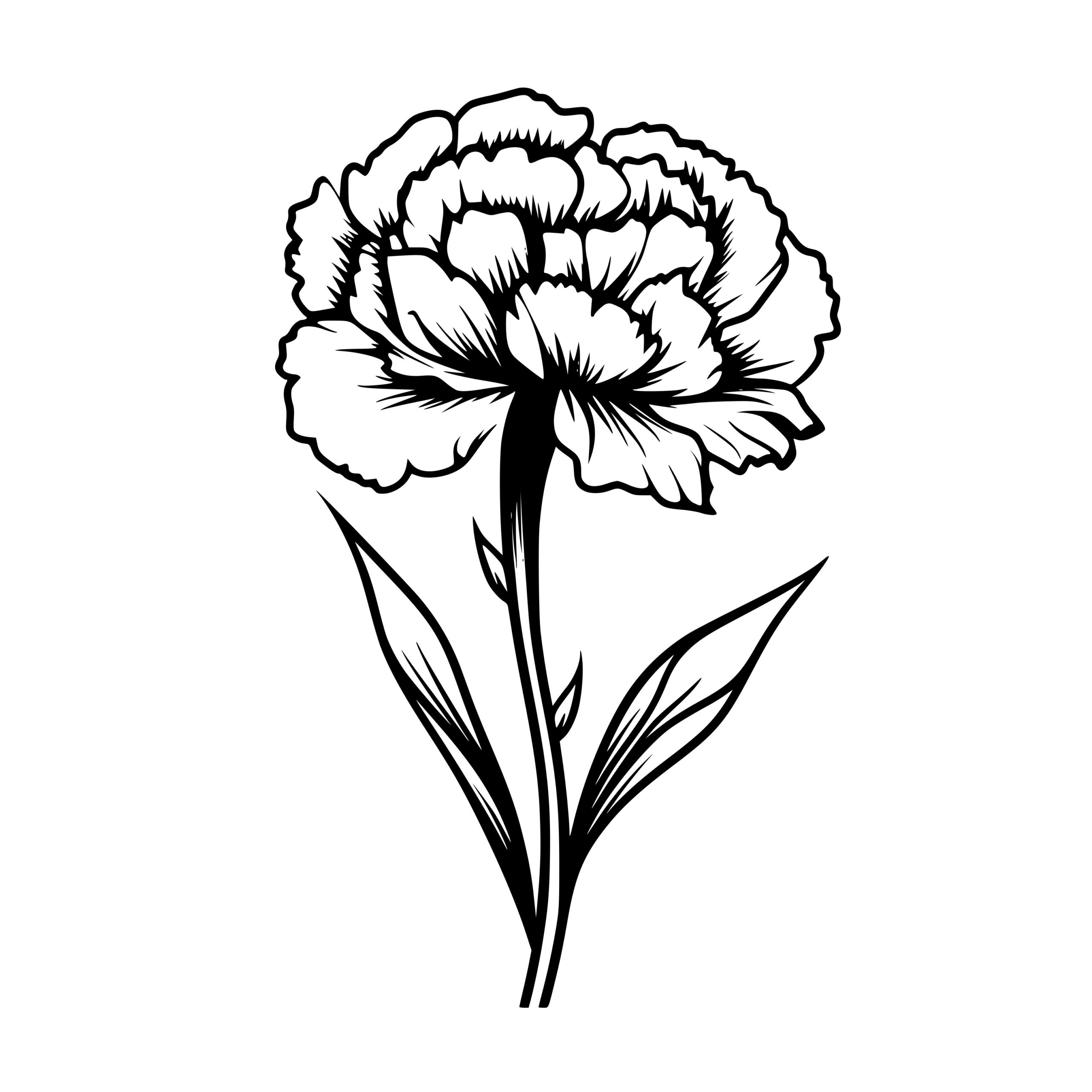 Carnation Flower Single Line SVG File, Botanical Floral Clip Art