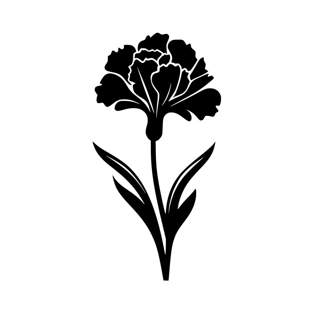 Carnation Bloom SVG Image: Floral Design for Cricut, Silhouette, and Laser  Machines