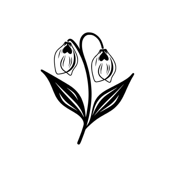 Snowdrop Bloom: Instant Download for Cricut, Silhouette & Laser Machines