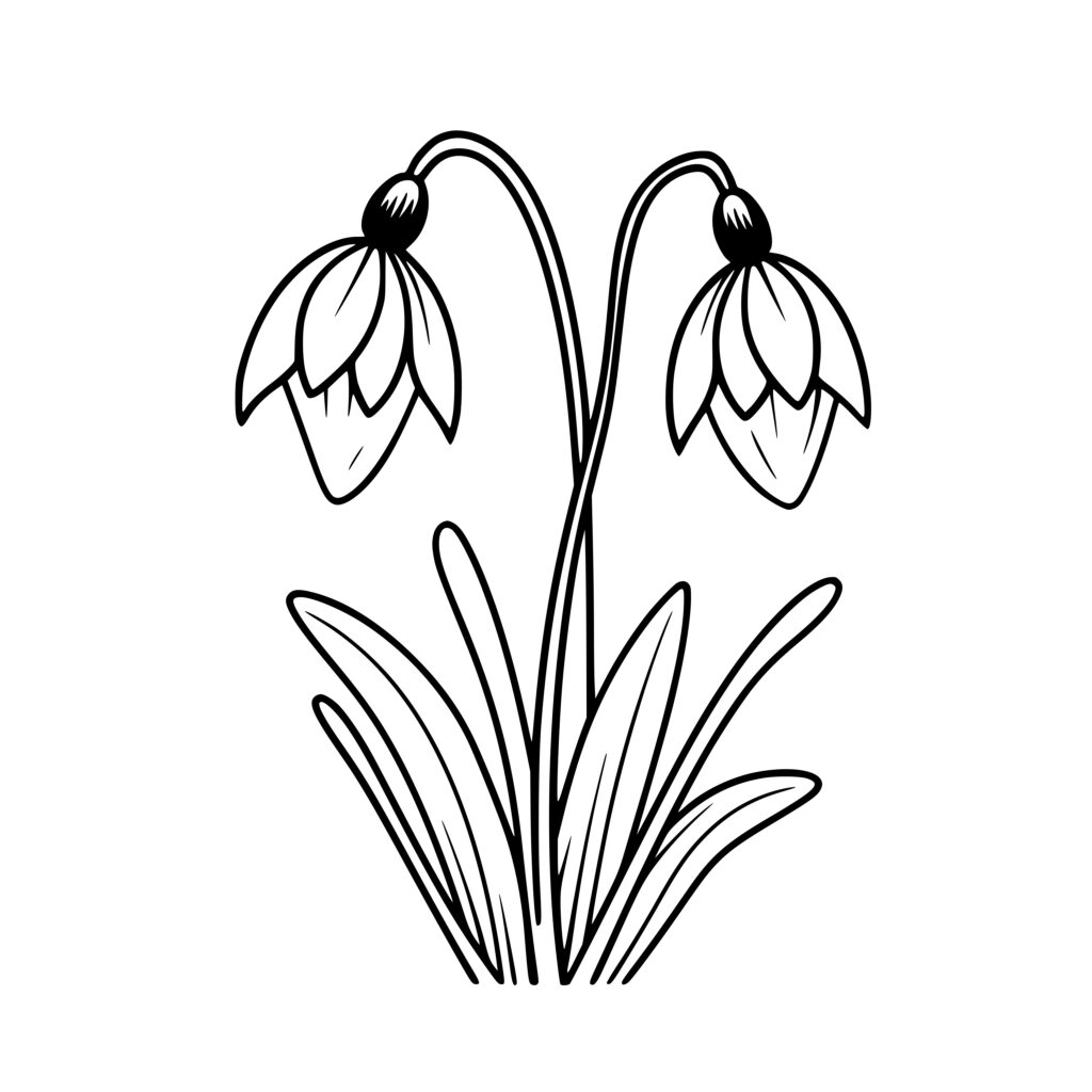 Instant Download SVG File: Snowdrop Cluster for Cricut, Silhouette, and ...