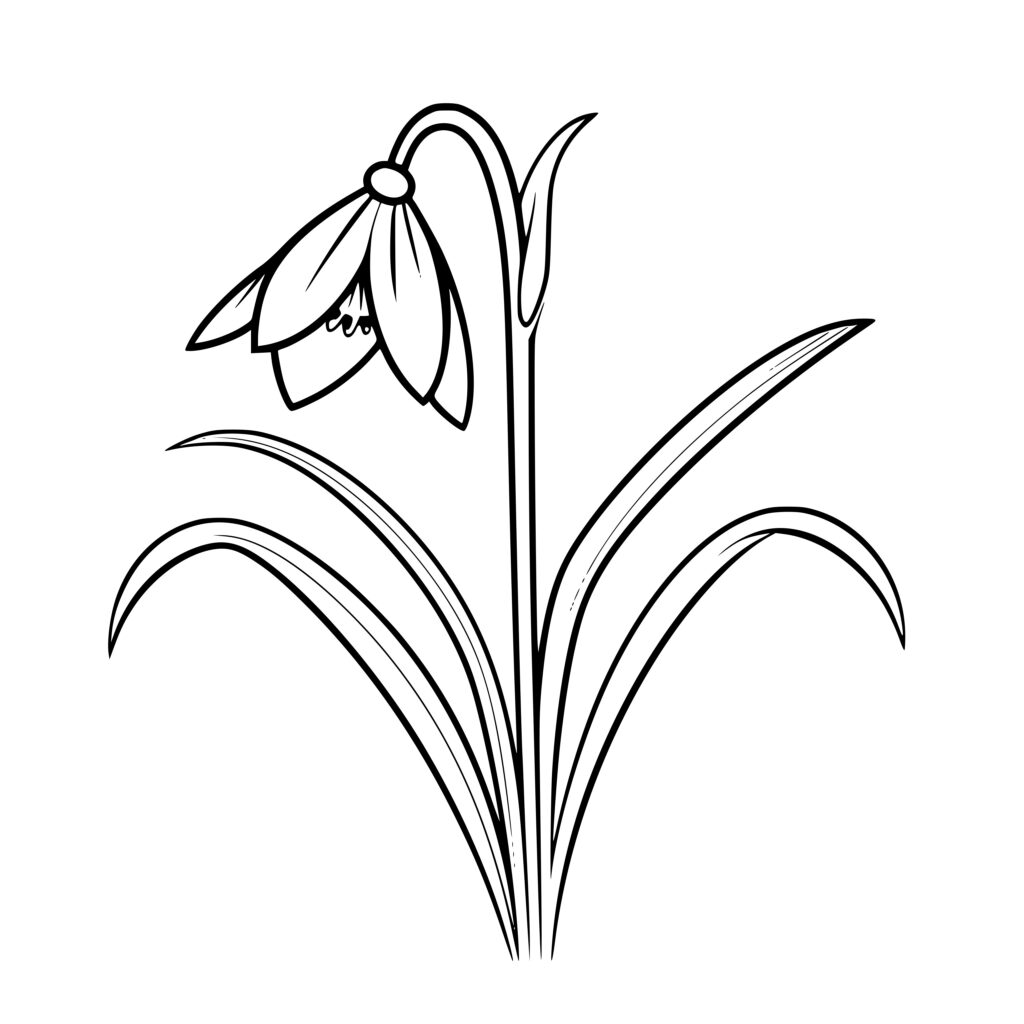 Beautiful Snowdrop Design for Cricut, Silhouette, Laser