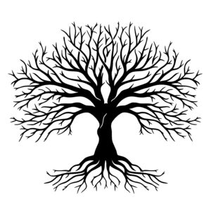 Rooted Tree